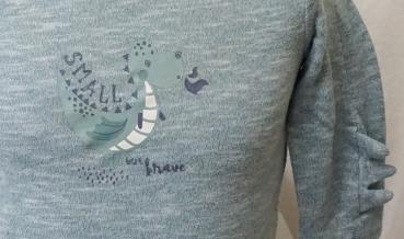 gefüttertes Sweatshirt Gr. 80 von Impidimpi (1842)